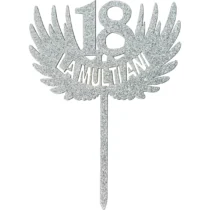 1106-topper-18-ani-la-multi-ani-argintiu