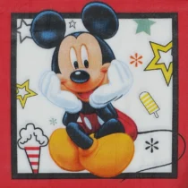 1414-set-10-servetele-mickey-model-2