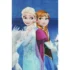 Fata de masa Frozen, model 3