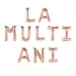 Set aranjament baloane litere La Multi Ani, rose gold