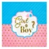 Set 12 servetele Gender Reveal / Boy or Girl