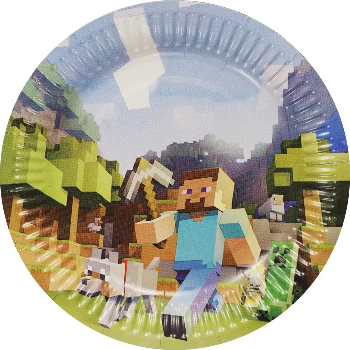 Set 10 farfurii Minecraft