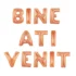 Set aranjament bundle baloane litere Bine ati Venit rose gold