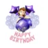 Set aranjament bundle 23 baloane folie si latex Sofia cu ghirlanda Happy Birthday