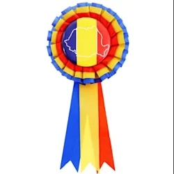 2708-insigna-steag-romania-cu-funda